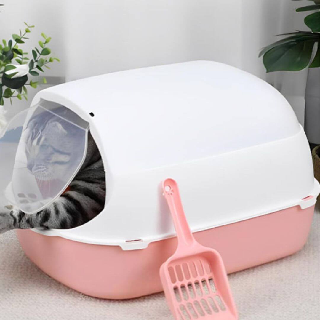 LITIÈRE POUR CHAT | Enclos avec porte™ - opaschats
