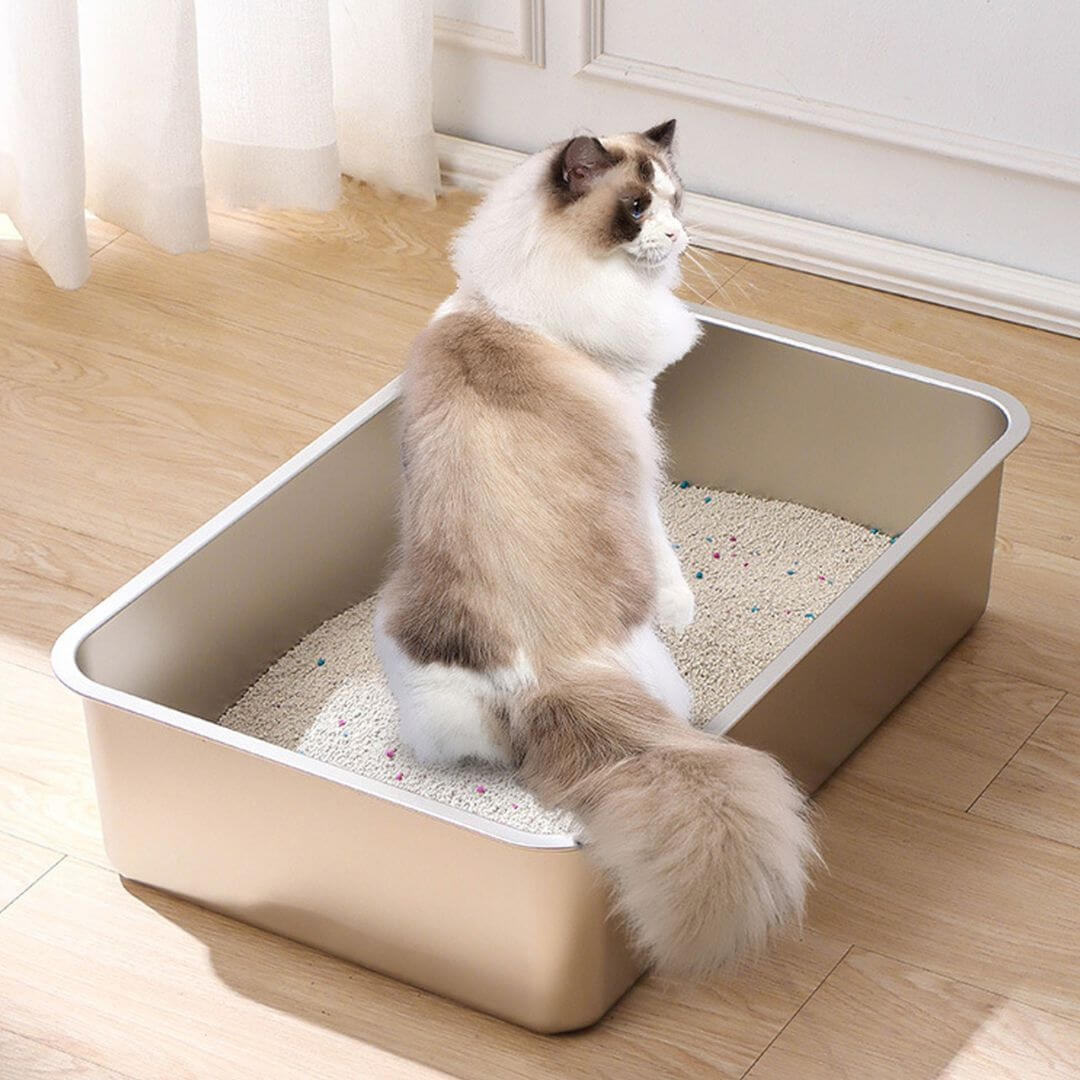 LITIÈRE POUR CHAT | Modèle Combac™ - opaschats