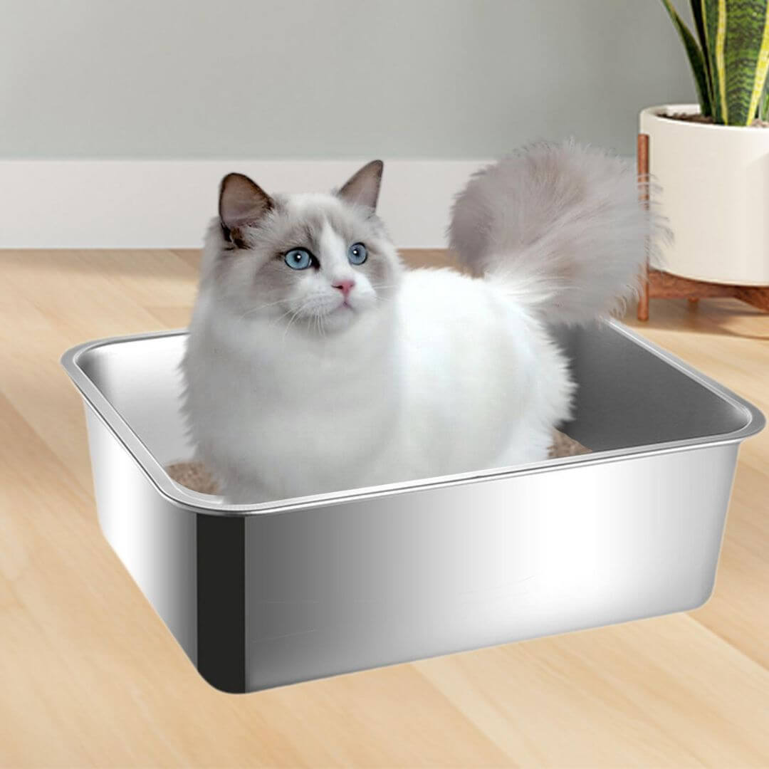 LITIÈRE POUR CHAT | Modèle Combac™ - opaschats