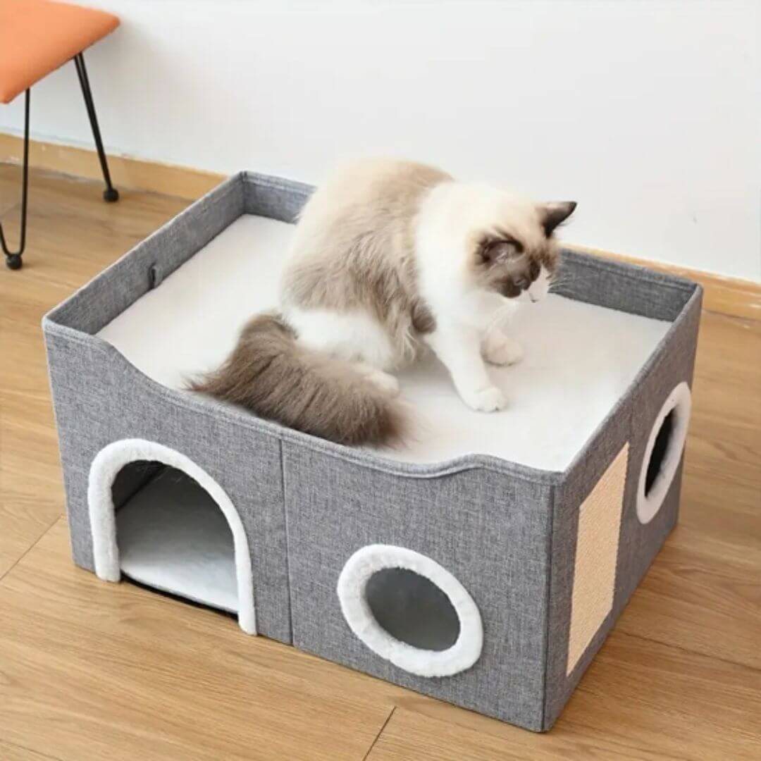 MAISON POUR CHATS | Chat percher™ - opaschats