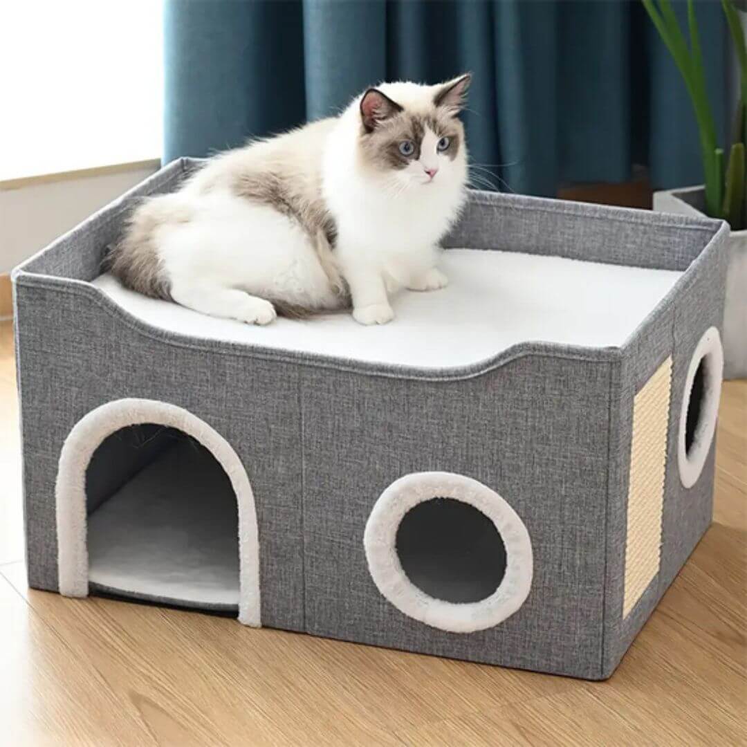 MAISON POUR CHATS | Chat percher™ - opaschats