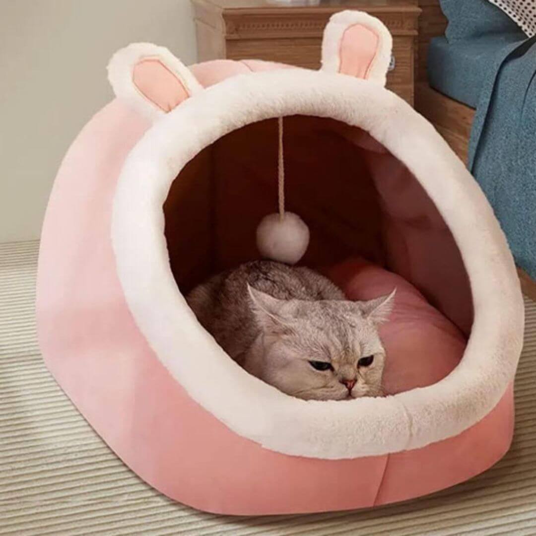 niche à chat | oreille de lapin - opaschats