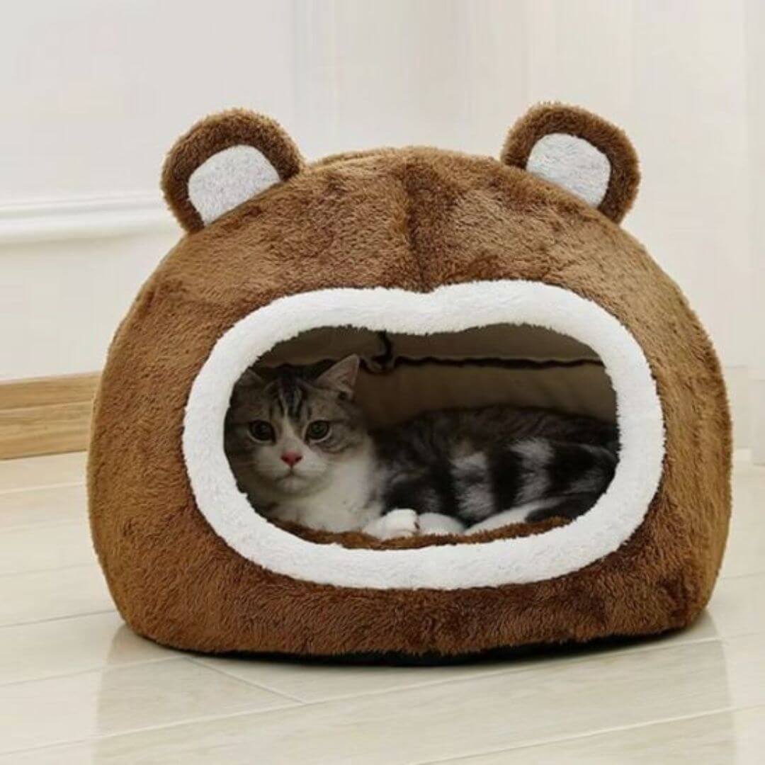 NICHE CHAT | Céleste™ - opaschats