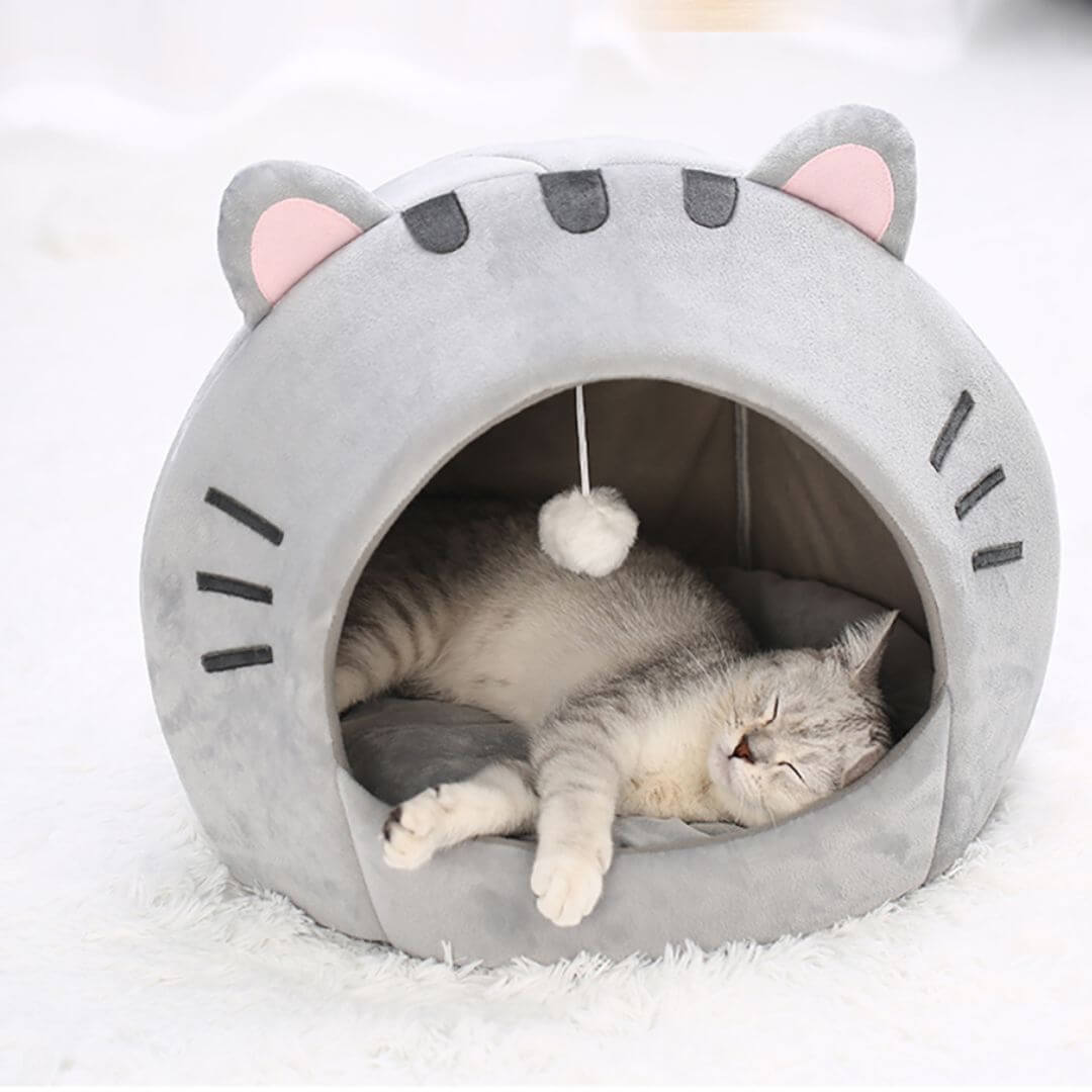 niche chat | cozy nest™ - opaschats
