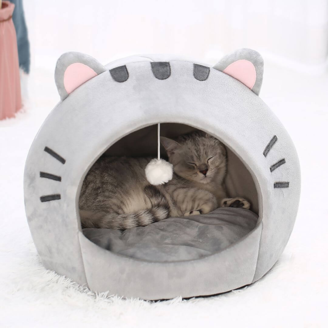 niche chat | cozy nest™ - opaschats