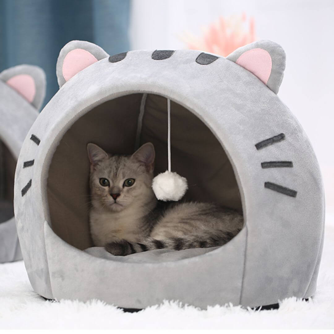 niche chat | cozy nest™ - opaschats