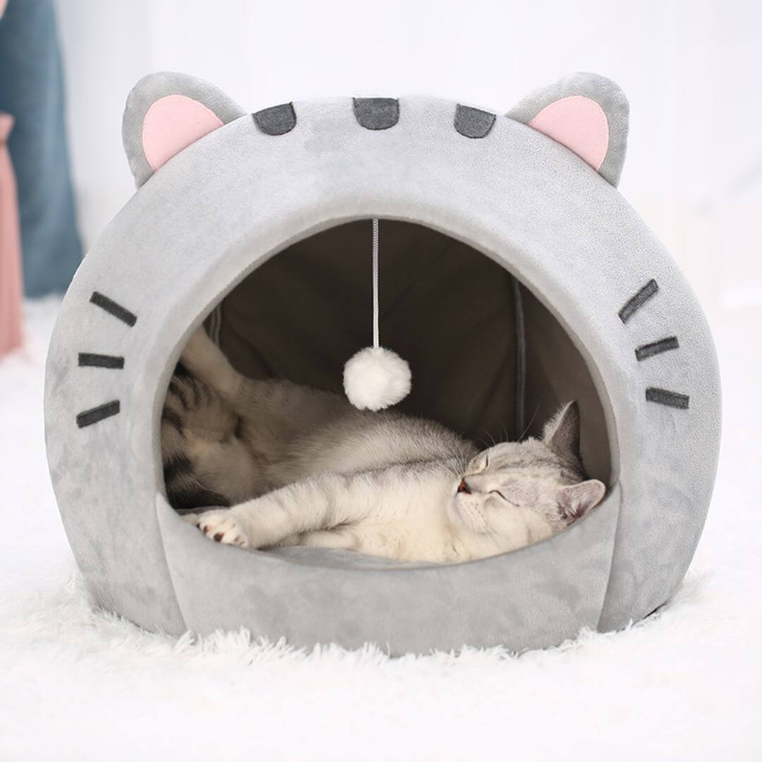 niche chat | cozy nest™ - opaschats