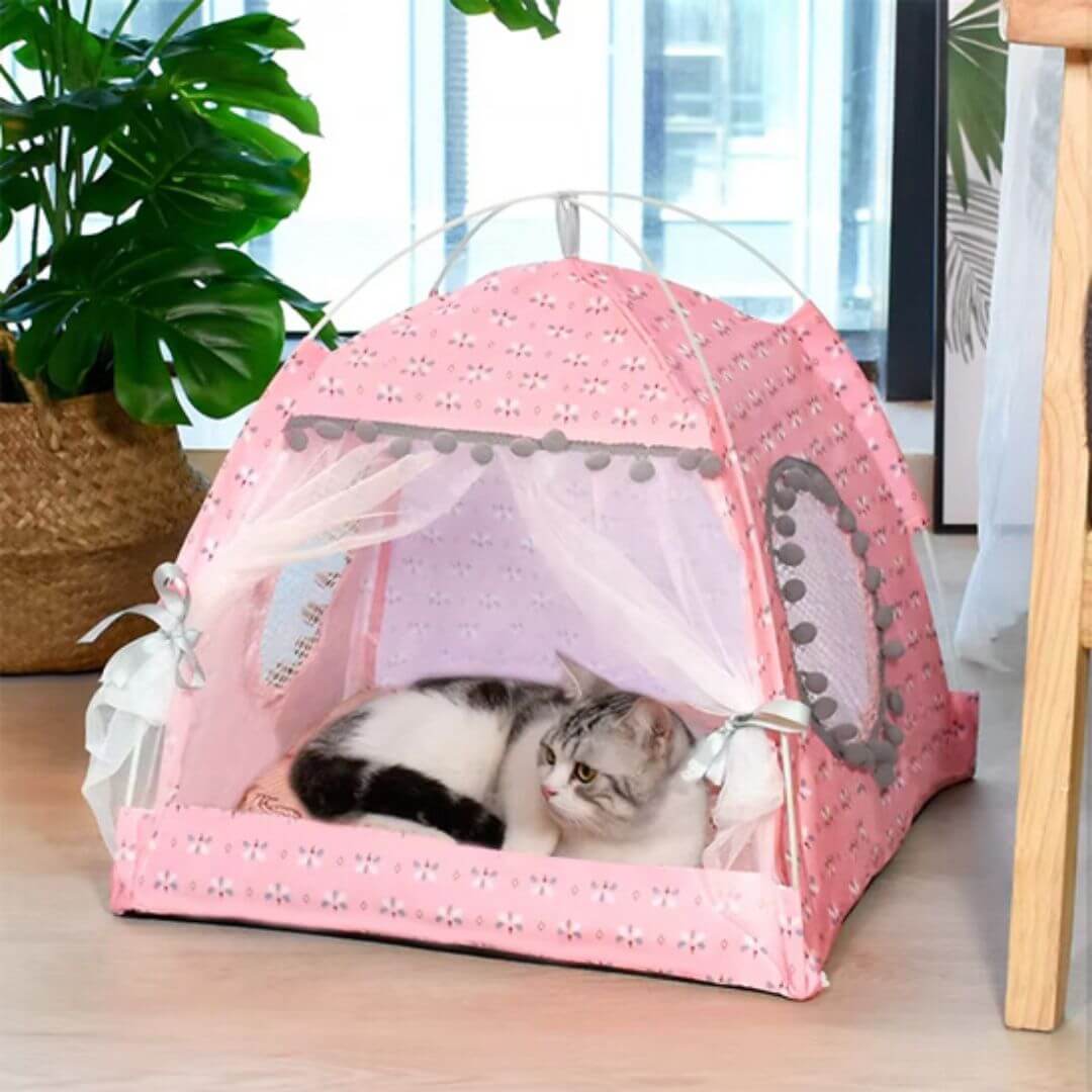 NICHE CHAT | Lady Pussy™ - opaschats