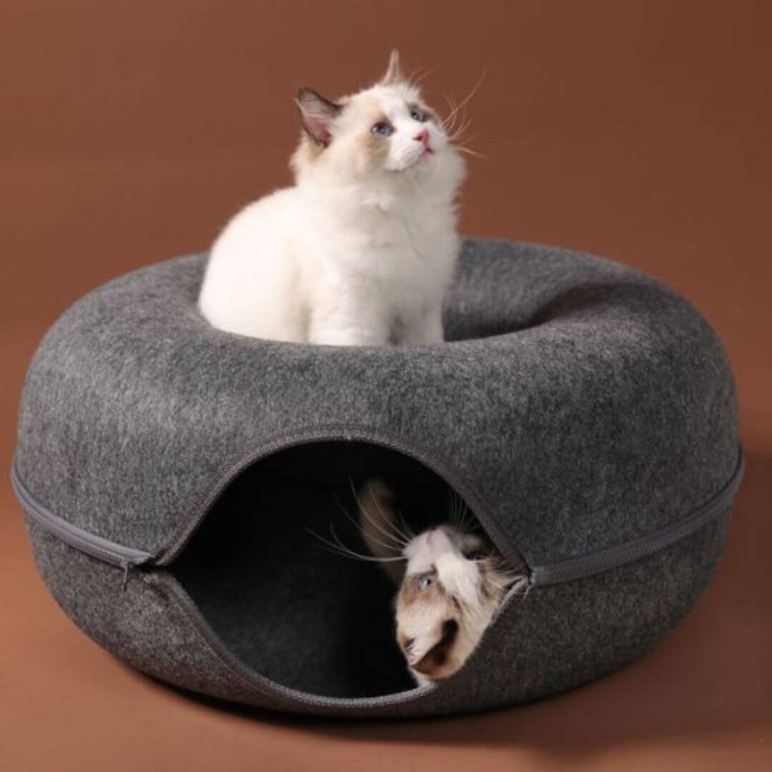 NICHE CHAT | Tunnel Cocon Paradisâą - opaschats