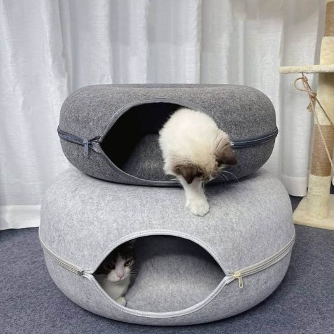 NICHE CHAT | Tunnel Cocon Paradisâą - opaschats