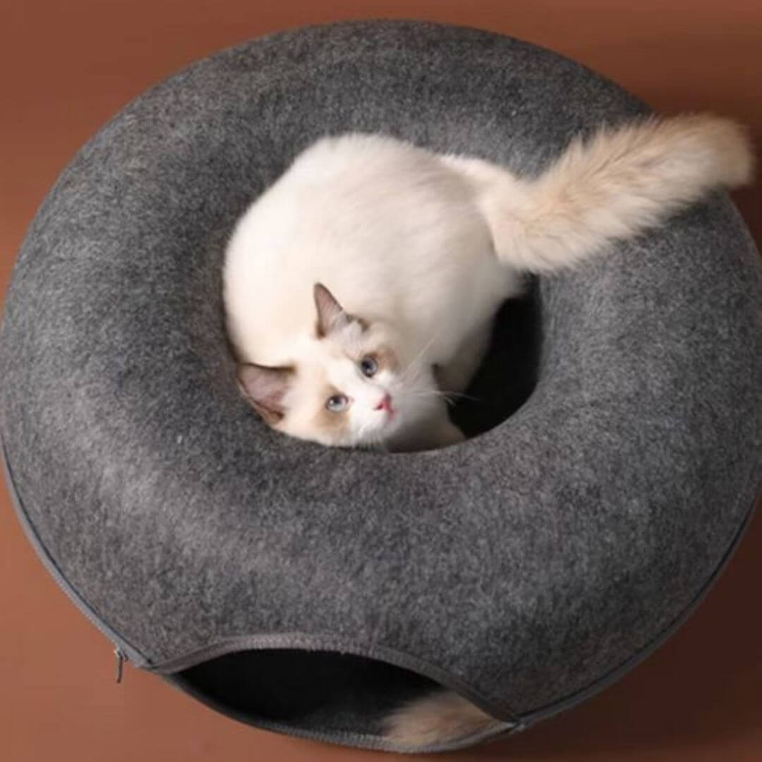 NICHE CHAT | Tunnel Cocon Paradisâą - opaschats