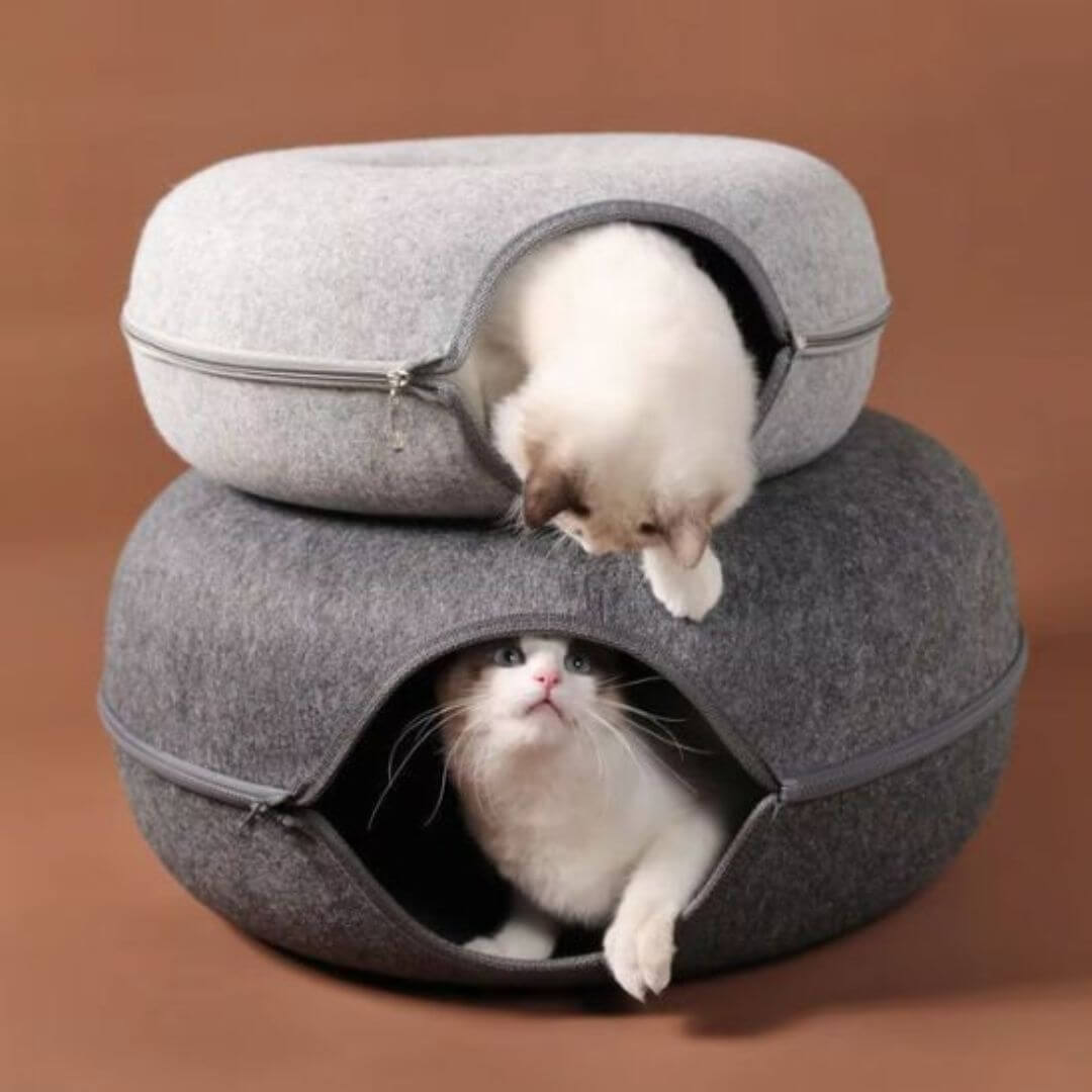 NICHE CHAT | Tunnel Cocon Paradisâą - opaschats