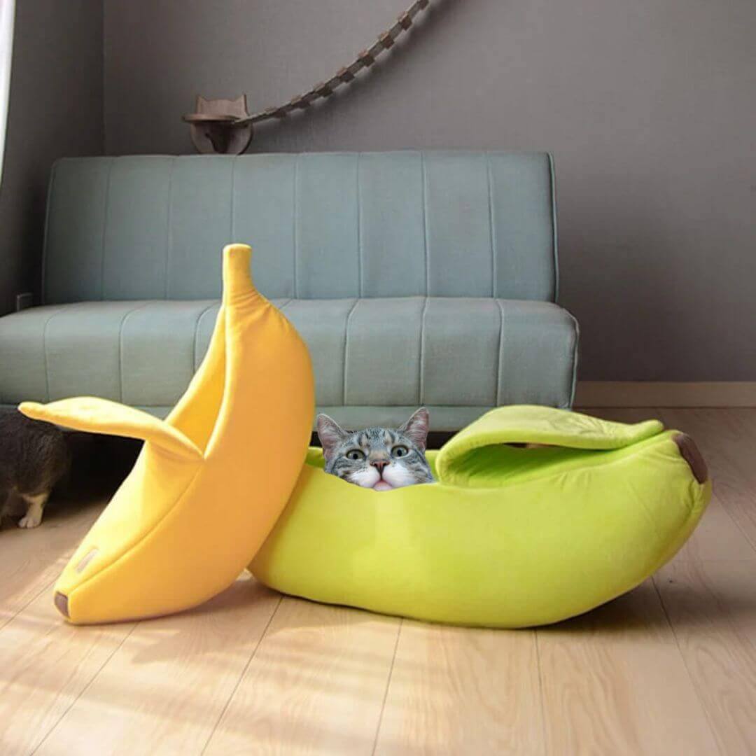 NICHE POUR CHAT | Bananacat™ - opaschats