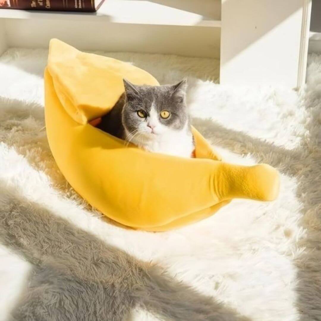 NICHE POUR CHAT | Bananacat™ - opaschats