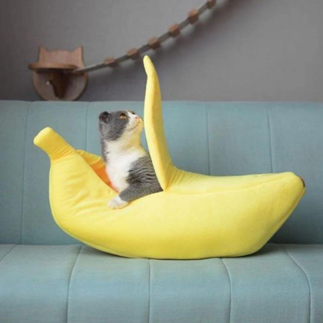 NICHE POUR CHAT | Bananacat™ - opaschats