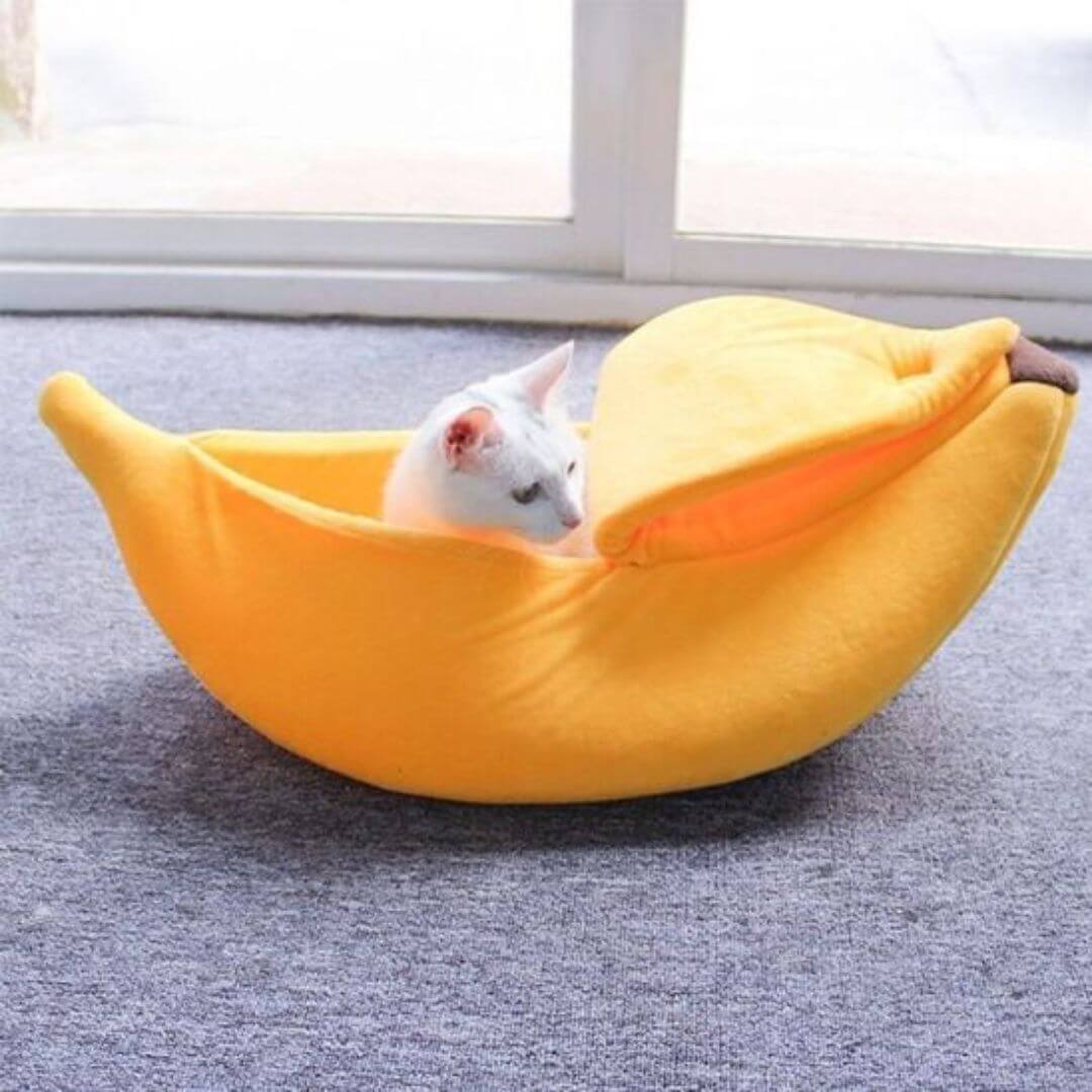 NICHE POUR CHAT | Bananacat™ - opaschats