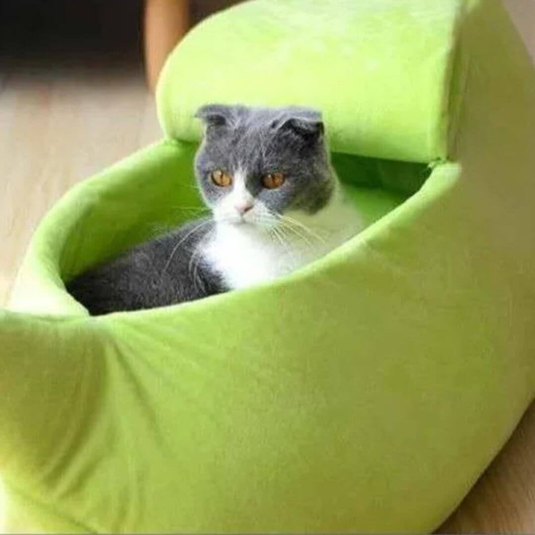 NICHE POUR CHAT | Bananacat™ - opaschats