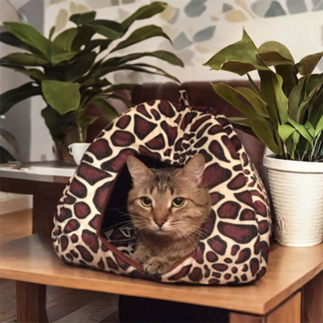 niche pour chat coussin amovible