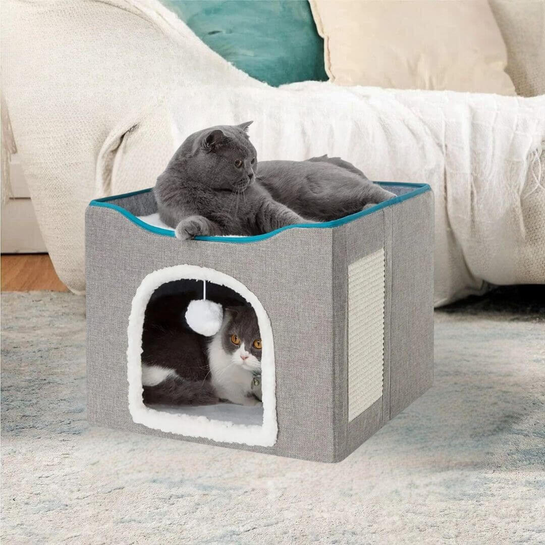 NICHE POUR CHAT | Hide and Seekâą - opaschats