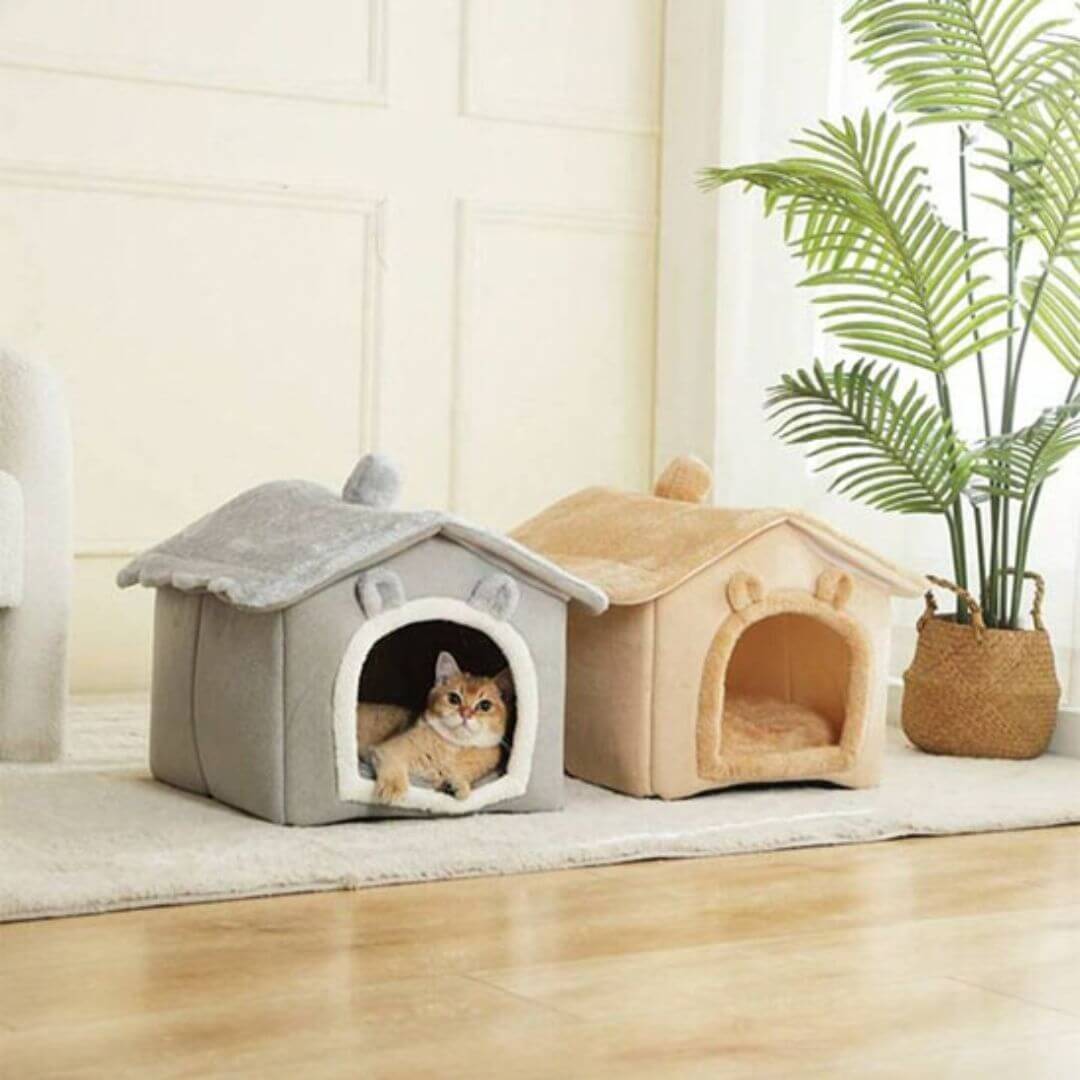 niche pour chat toutes saisons