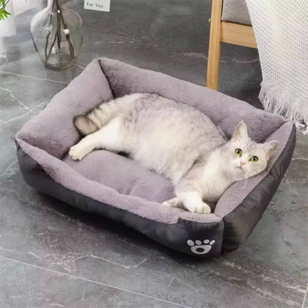 panier chat | doux refuge - opaschats