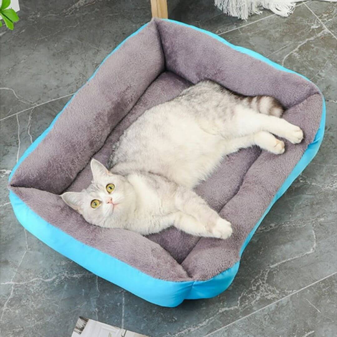 panier chat | doux refuge - opaschats