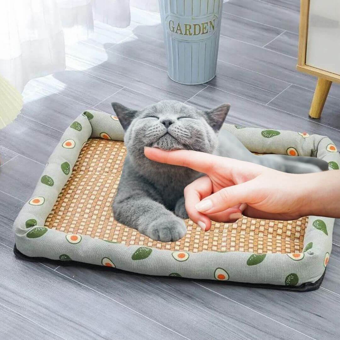 panier chat flexible