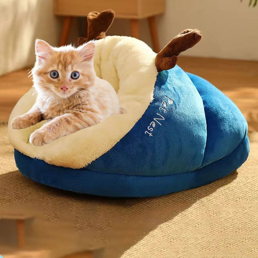 panier chat | pantoufle magique - opaschats