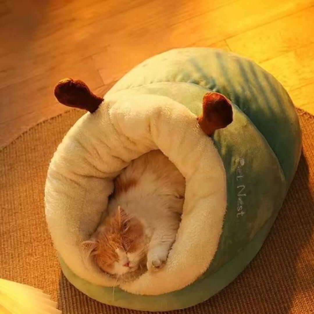 panier chat | pantoufle magique - opaschats