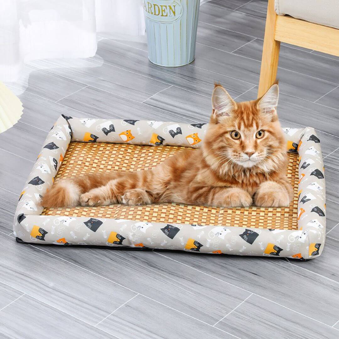 PANIER CHAT | Refreshing Basket™ - opaschats