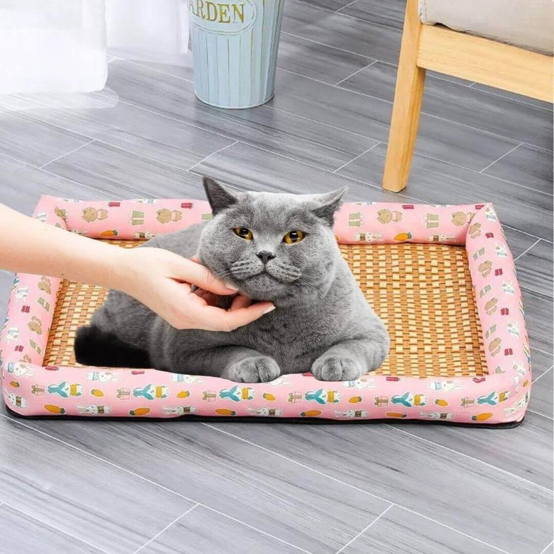 PANIER CHAT | Refreshing Basket™ - opaschats