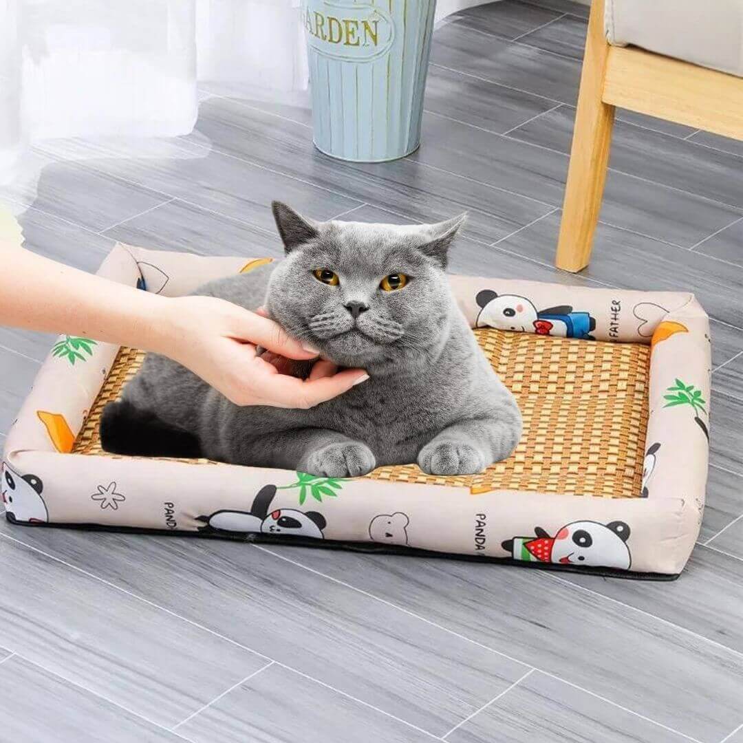 panier chat rotin souple