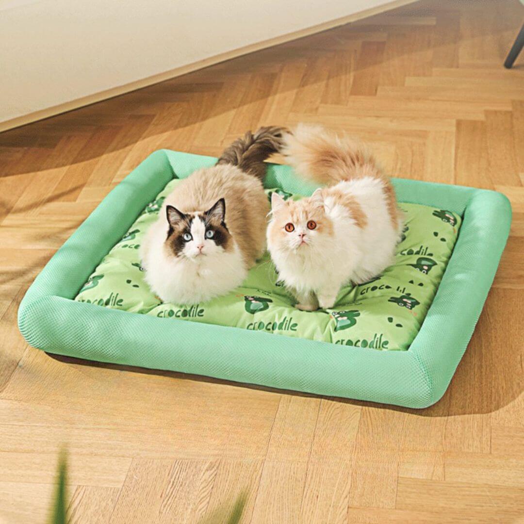 PANIER CHAT| Tapis D'été™ - opaschats