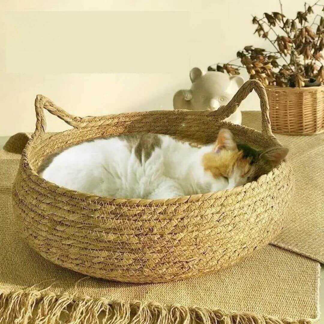 panier chat tisse anti stress