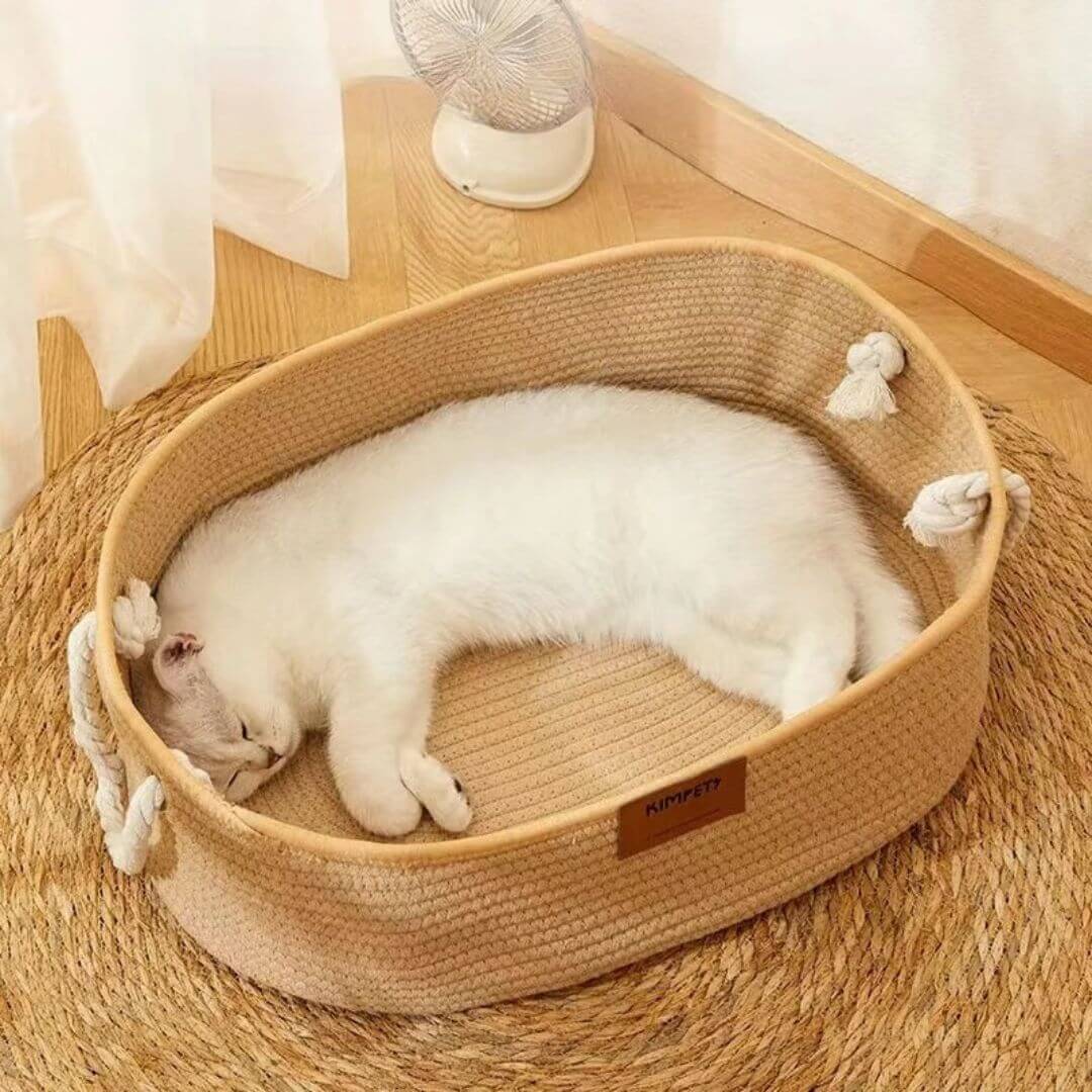 PANIER CHATON | Style Japonais - opaschats