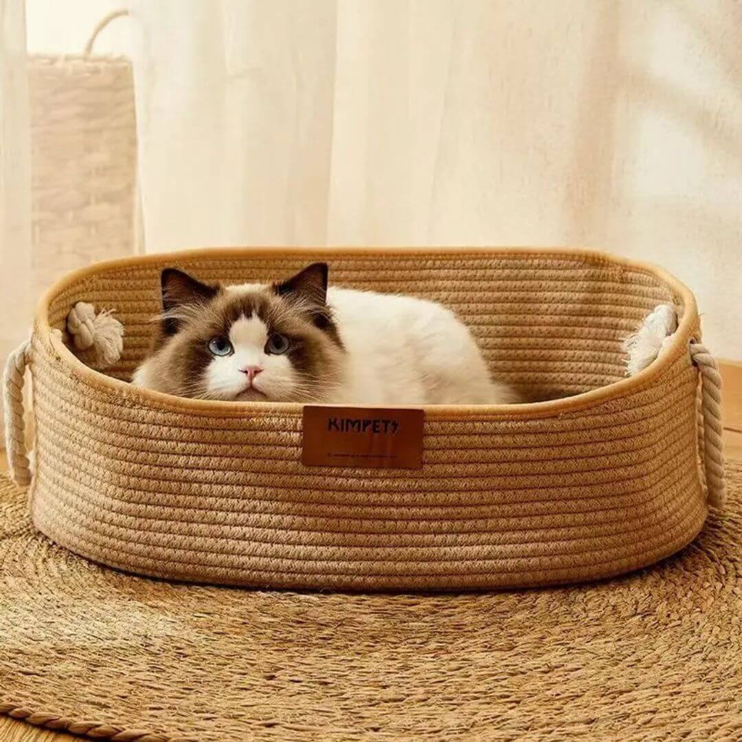 PANIER CHATON | Style Japonais - opaschats