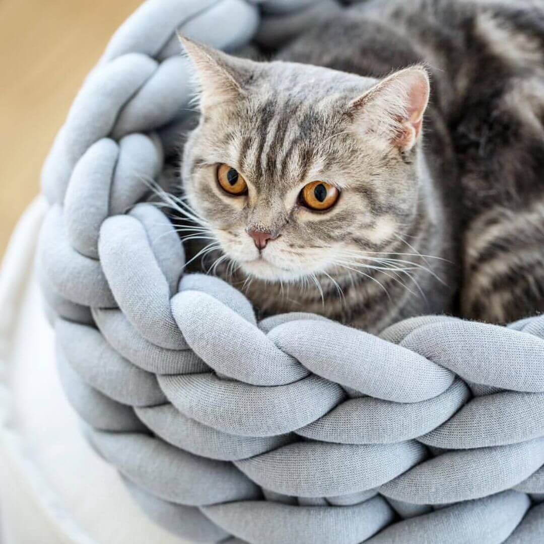 PANIER CHATON | Tress Chat Douillet™ - opaschats