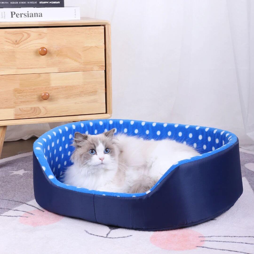 panier chatons | chic à pois - opaschats