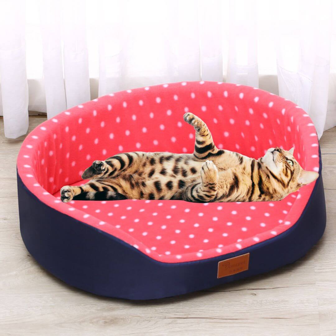 panier chatons | chic à pois - opaschats