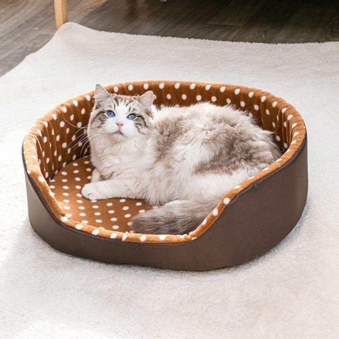 panier chatons | chic à pois - opaschats