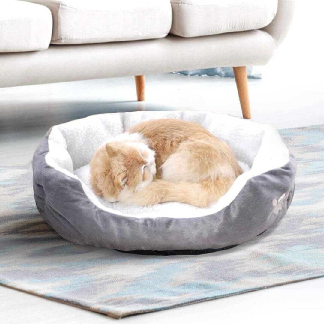 panier chatons | nid de tendresse - opaschats