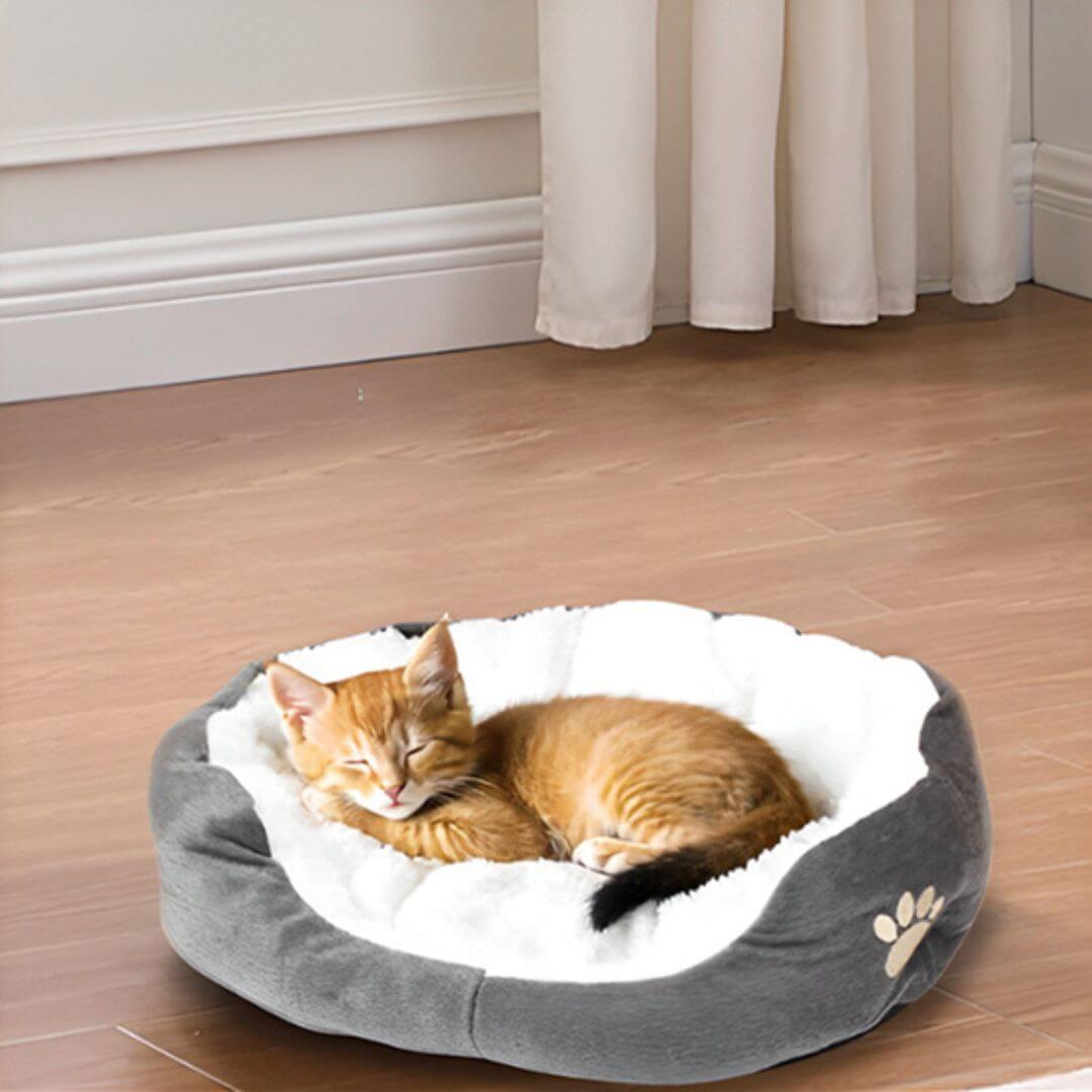 panier chatons | nid de tendresse - opaschats