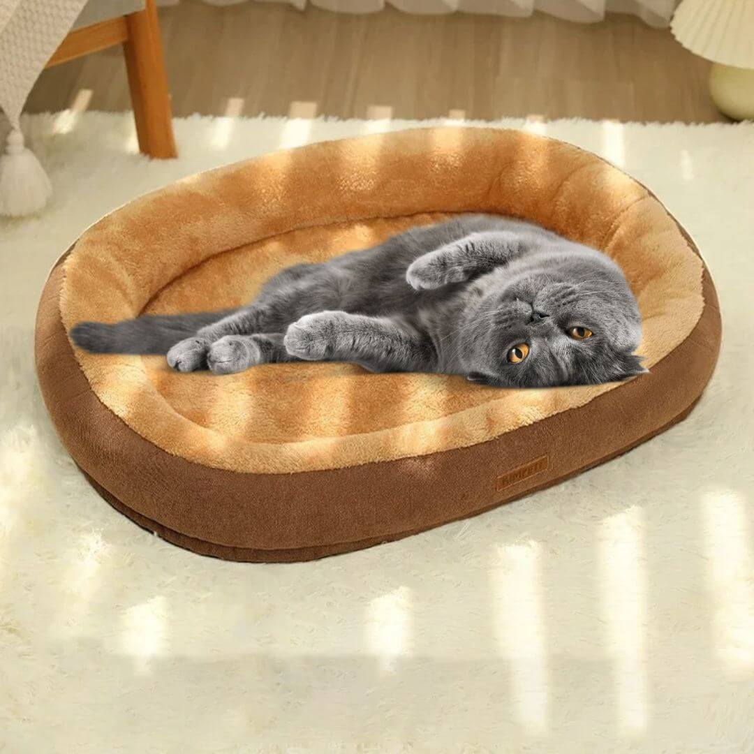 PANIER POUR CHAT | Cocoon Pasha™ - opaschats