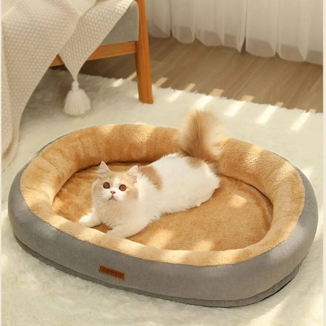 PANIER POUR CHAT | Cocoon Pasha™ - opaschats