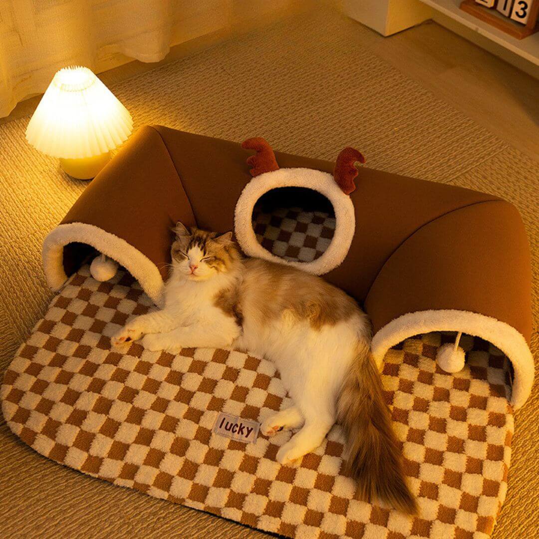 panier pour chat | lit et jeu - opaschats