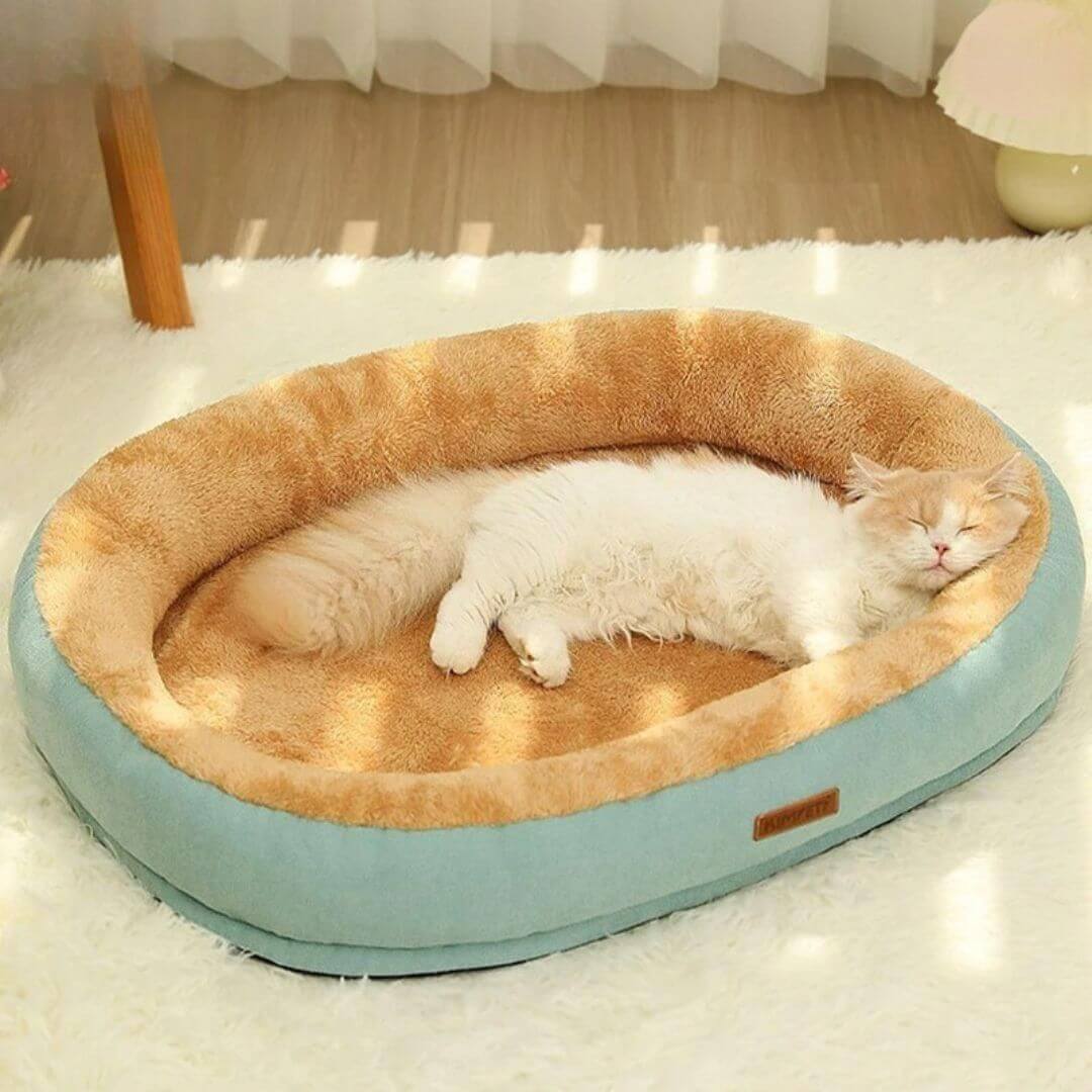 panier pour chat spacieux