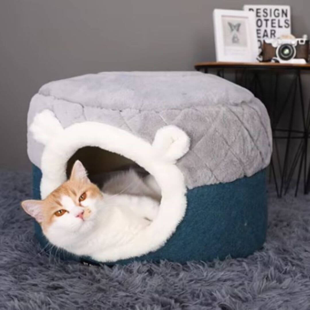 panier pour chat | tranquillité - opaschats