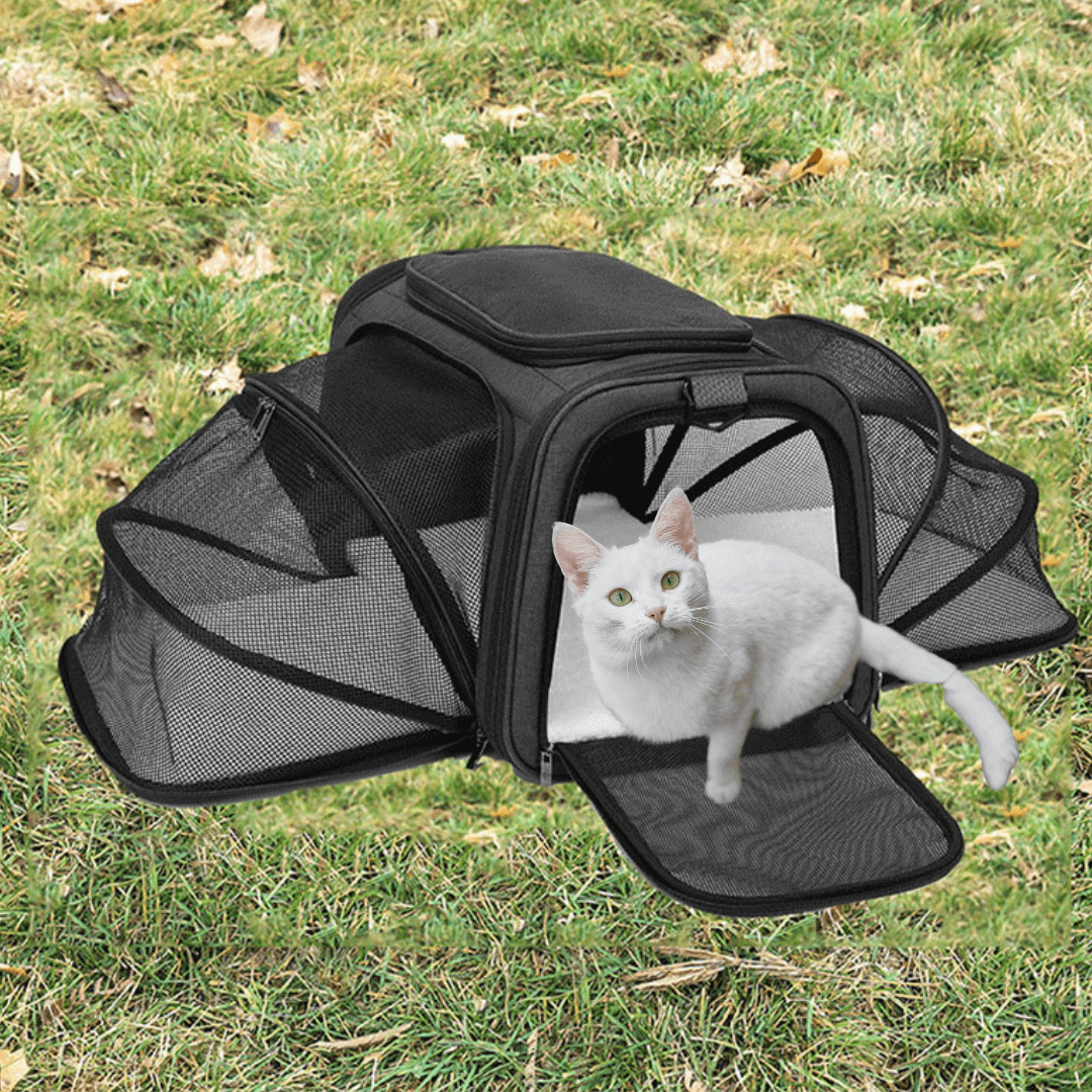 sac a chat transport | extensible - opaschats