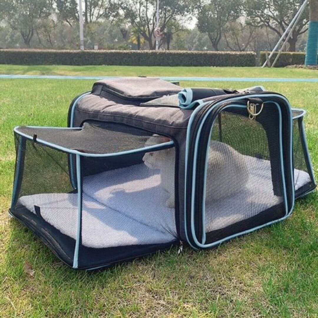 sac de transport pour chat | pliable - opaschats