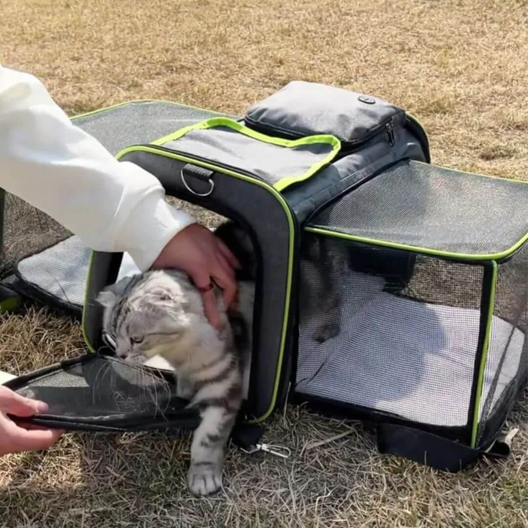 sac de transport pour chat | pliable - opaschats